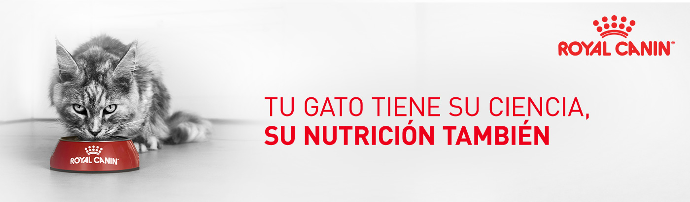 Royal Canin gato. Tu gato tiene su ciencia, su nutrición también