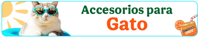 Los mejores accesorios para gato.