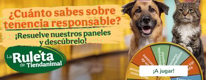 Campaña ESG: Tenencia responsable.