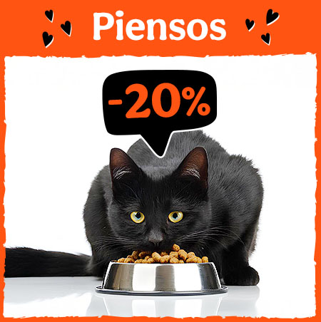 Piensos para Gatos: 20% dto en piensos para tu gato.