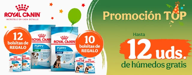 Royal Canin: Pienso para perros con regalo de comida húmeda.