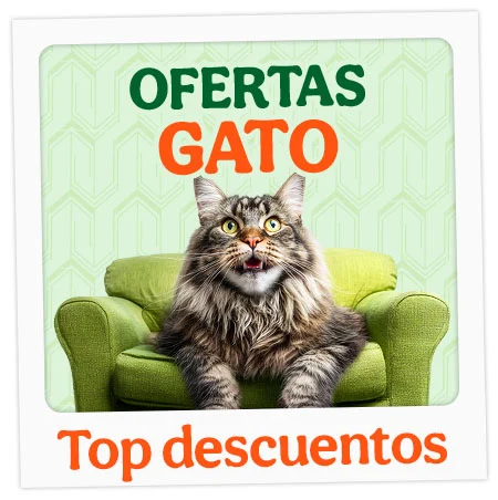 Ofertas gato