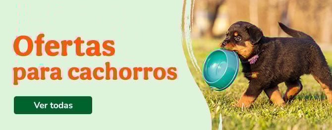 Juguetes para sales perros tiendanimal
