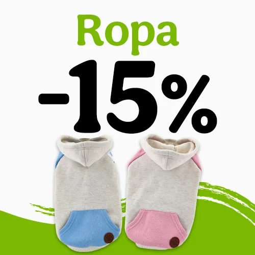 15% dto en moda para tu peludo.