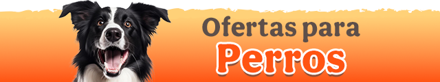 Ofertas perro