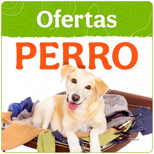 Ofertas perro.
