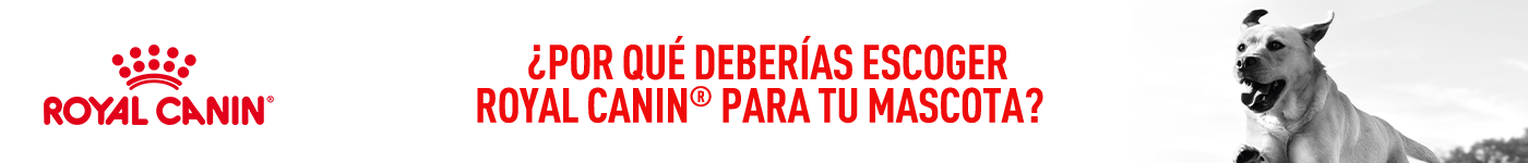 ¿Por qué deberías escoger Royal Canin para tu mascota? Necesidades únicas, precisión nutricional.