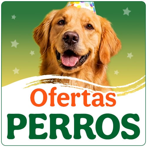 Ofertas perro.
