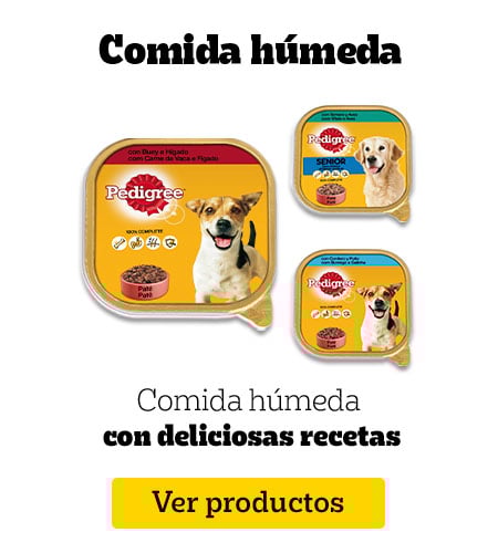 Comida Húmeda