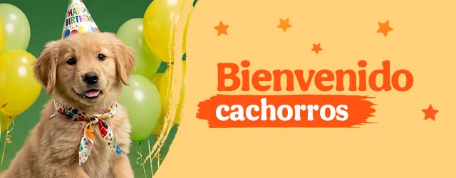 Bienvenidos cachorritos