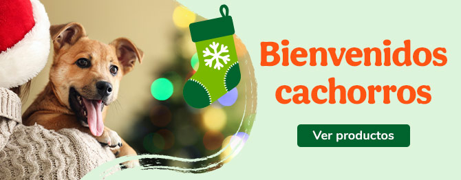 Bienvenidos perritos
