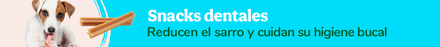 Snacks dentales para proteger y cuidar sus dientes