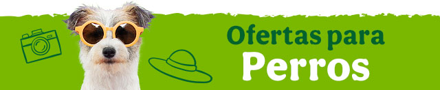 Todas las ofertas perro