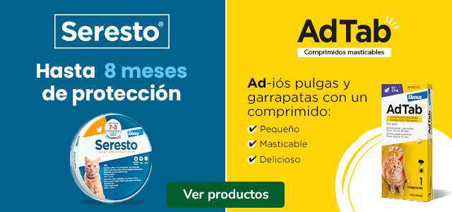 AdTab y Seresto: Antiparasitarios para gatos.