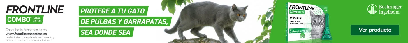 Frontline: Pipetas antiparasitarias para gatos.