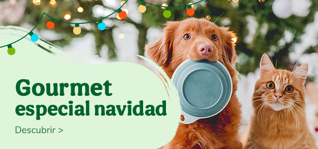 ¿Un peludo Gourmet? Especial comidas para Navidad. Nos sentamos a la mesa