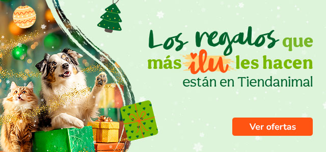 Descubre todo el surtido navideño para tu peludo.