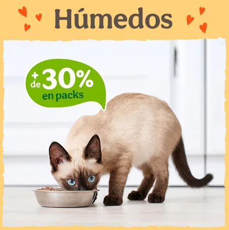 Más del 30% dto en packs de comida húmeda para gatos.