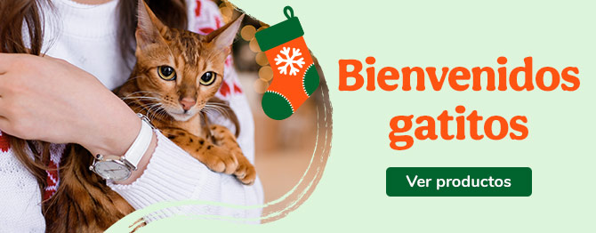 Bienvenidos gatitos