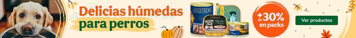 Más del 30% dto en packs de comida húmeda para perro en marcas seleccionadas.