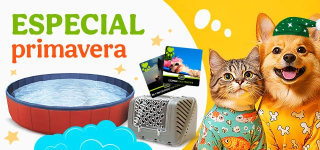 ¡Llega en buen tiempo! Selección de porductos para disfrutar del buen tiempo con tu mascota