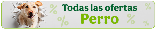Todas las ofertas perro