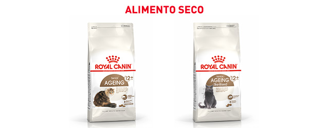 Royal Canin Senior.  Encuentra el pienso que mejor se adapta para tu gato de edad avanzada
