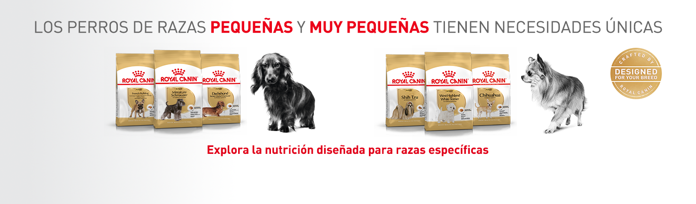 Royal Canin Razas. Los perros de razas pequeñas y mini tienen necesidades únicas