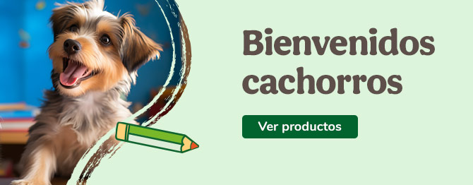 Bienvenidos perritos