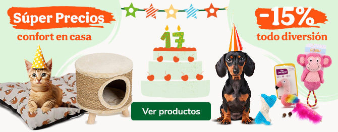 Los mejores precios en los accesorios más chulos