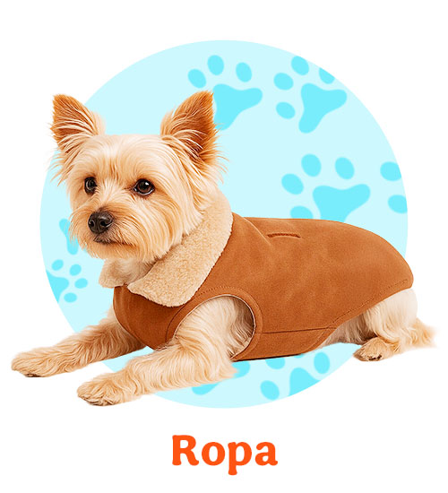 Ropa