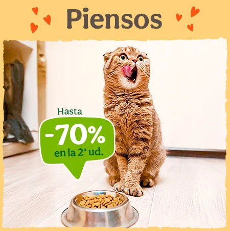 Hasta 70% de descuento en la 2ª unidad de pienso para gato.