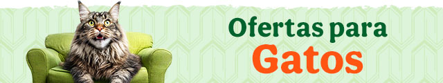 Todas las ofertas gato