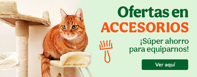 ¡Súper precios en accesorios para gato!