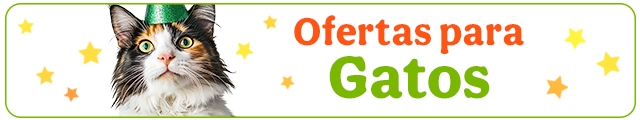 Todas las ofertas gato