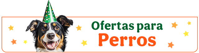 Todas las ofertas perro