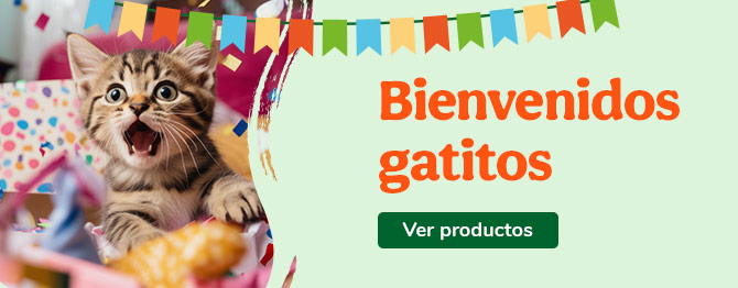Bienvenidos gatitos