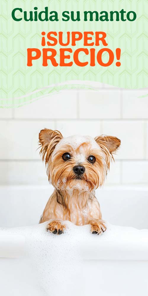 Cuida su manto con súper precios.