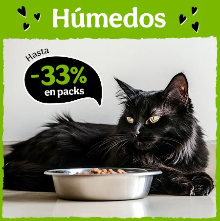 Hasta 33% dto en packs de comida húmeda para gatos.