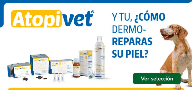 Atopivet: Collar para la dermatitis.