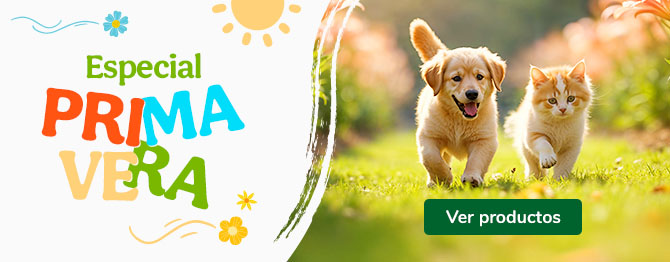 ¡Llega en buen tiempo! Selección de porductos para disfrutar del buen tiempo con tu mascota