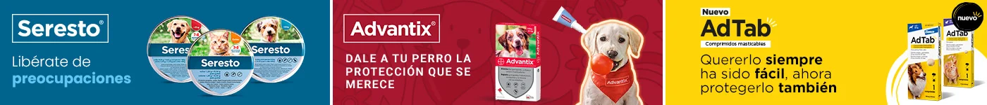 Antiparasitario para perro: Abtad Advantix y Seresto