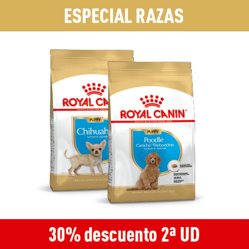 Royal Canin: 30% dto en 2ª unidad de alimentación por raza de perro.