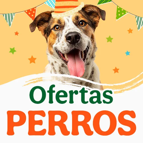¡Aniversario! Ofertas perro.