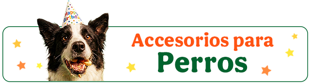 Los mejores accesorios para perro.