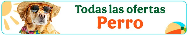 Todas las ofertas perro