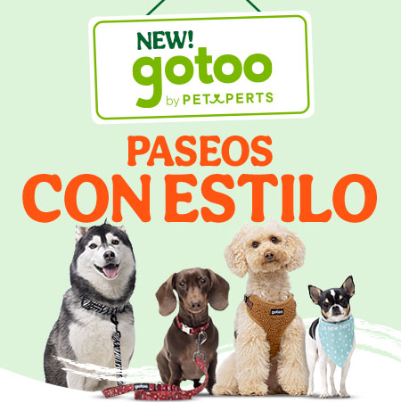 Gotoo: Soluciones para cada paseo