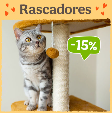 Rascadores -15%