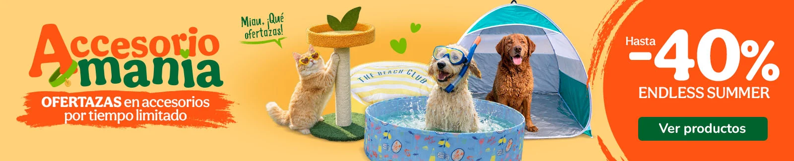 Hasta 40% dto en accesorios para tu peludo.