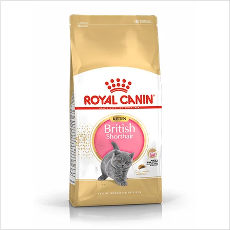 Royal Canin British Shorthair pienso para gatitos